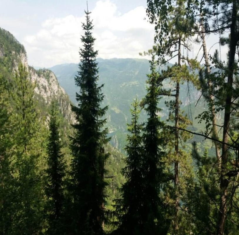 Nacionalni park Drina
