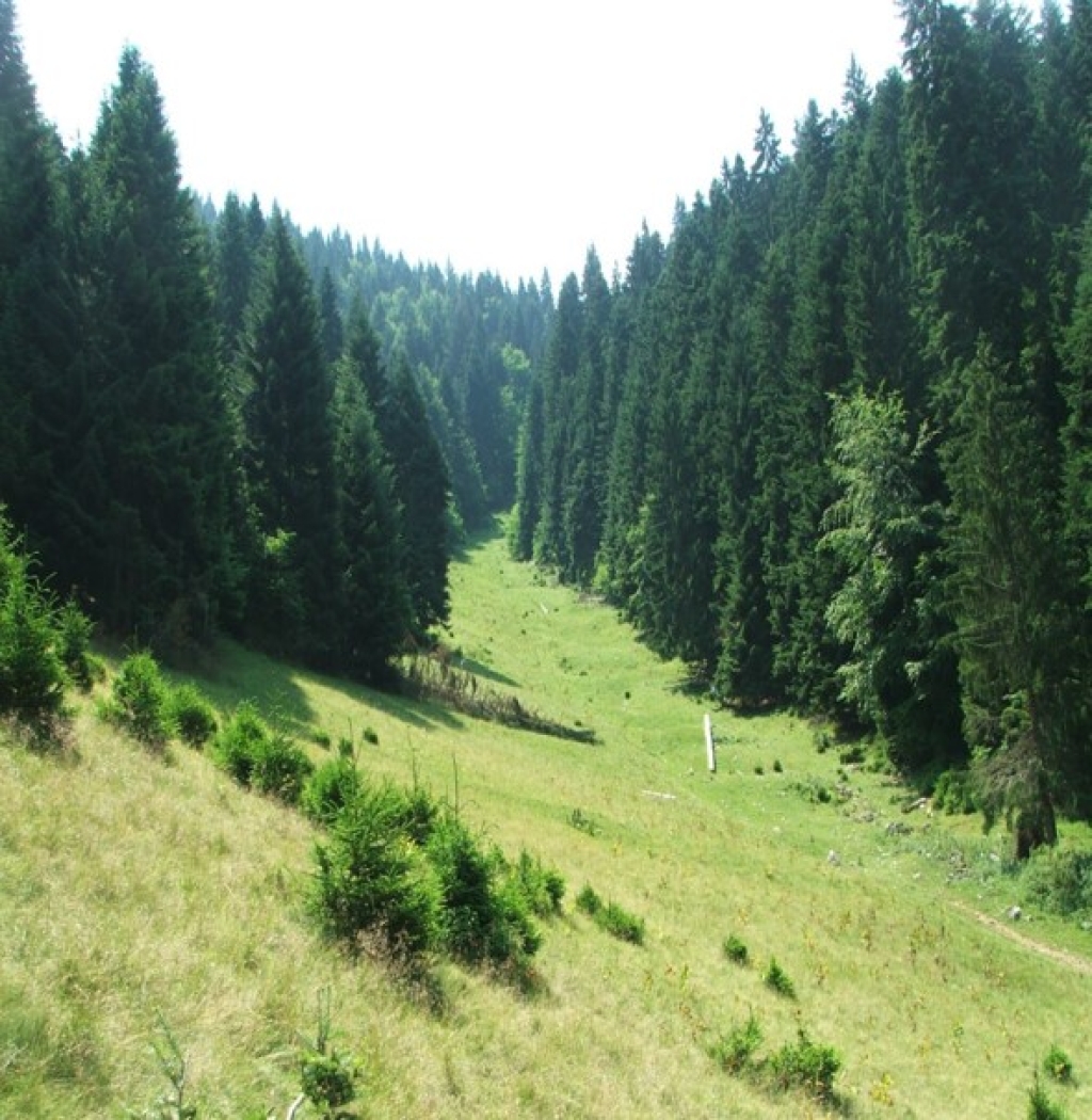 Park prirode Cicelj 